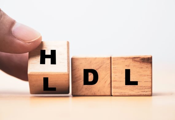 Building blocks spelling out HDL
