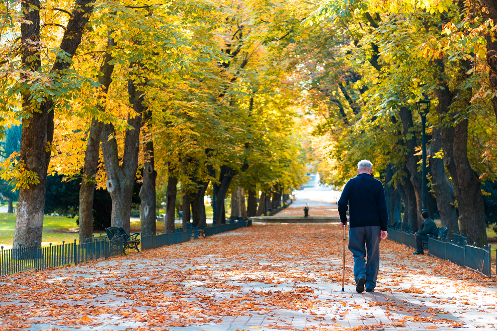 The Elderly and Seasonal Depression